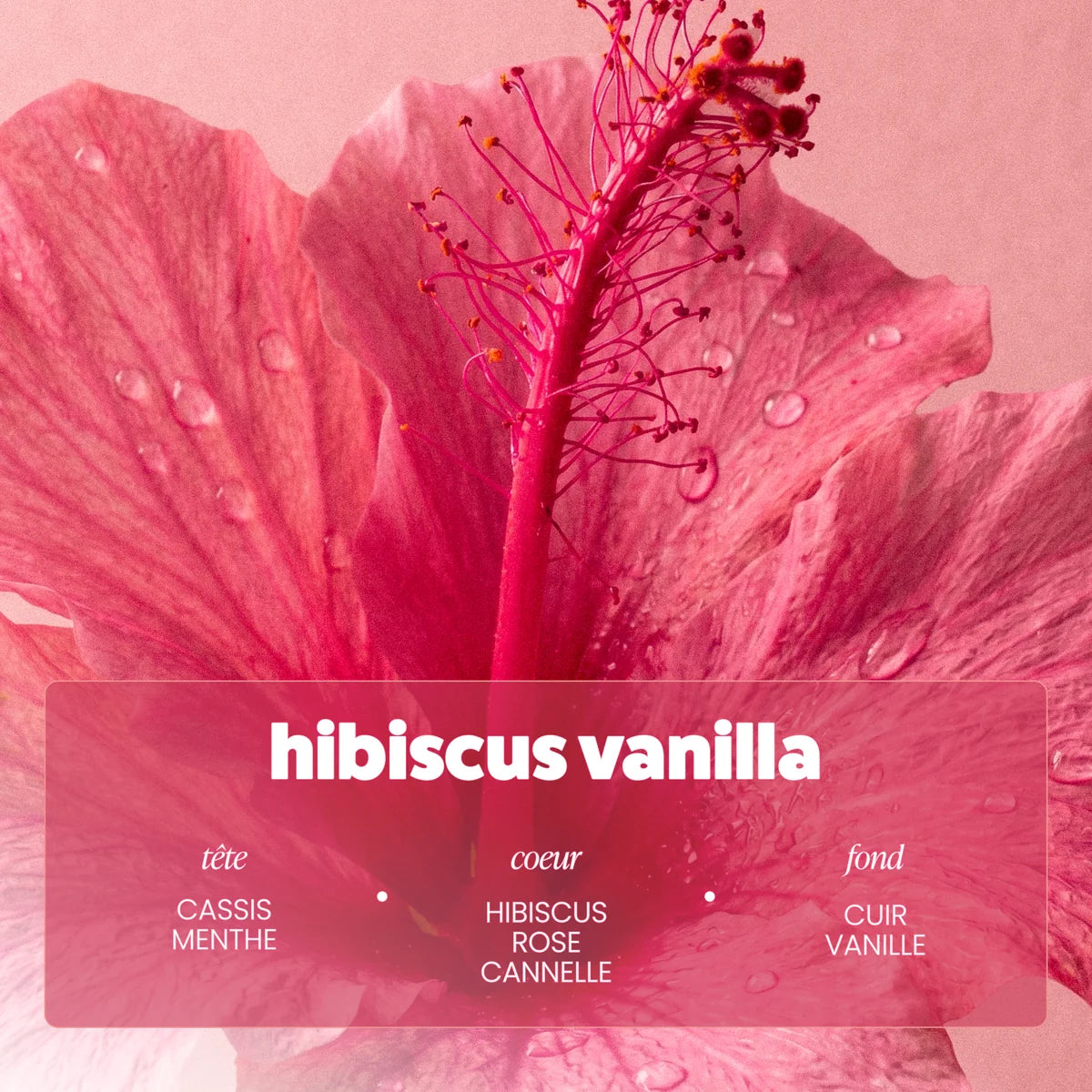 Brume Hibiscus Vanilla – Paalm Cosmetics