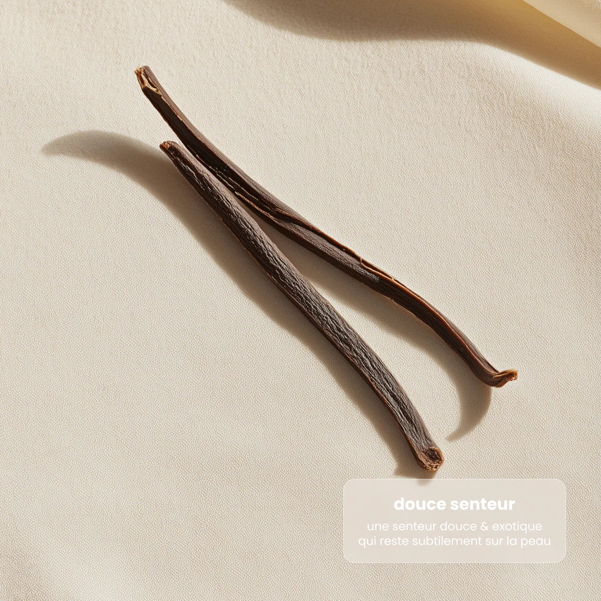 Getönter Schaum dunkel - Paalm Cosmetics