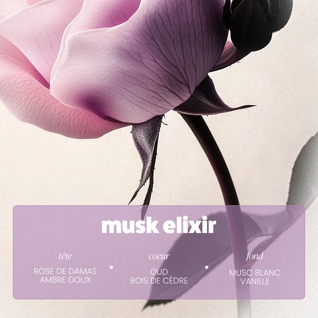 Brume Musk Elixir - Paalm Cosmetics