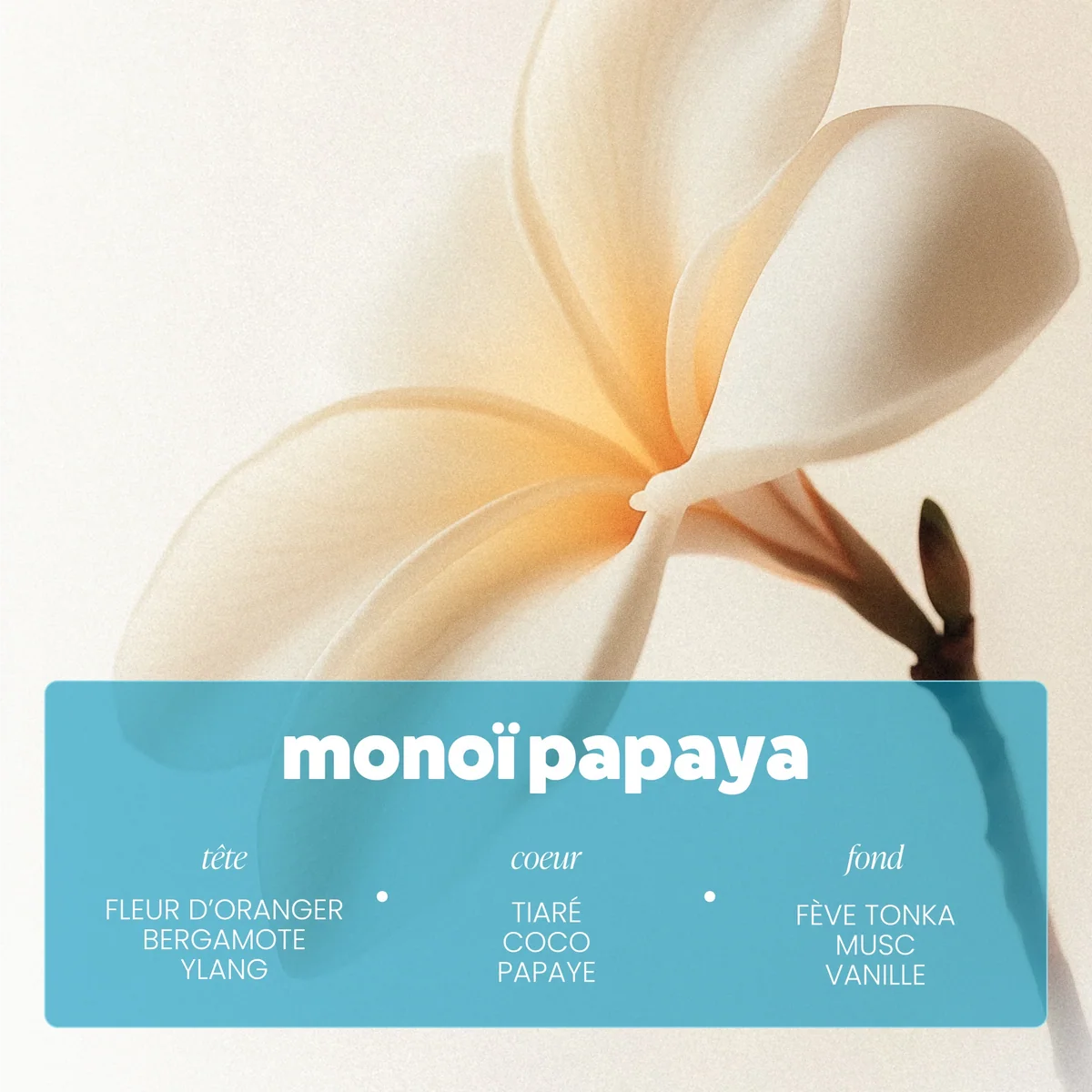 Monoï Papaya Nebelspray - Paalm Cosmetics