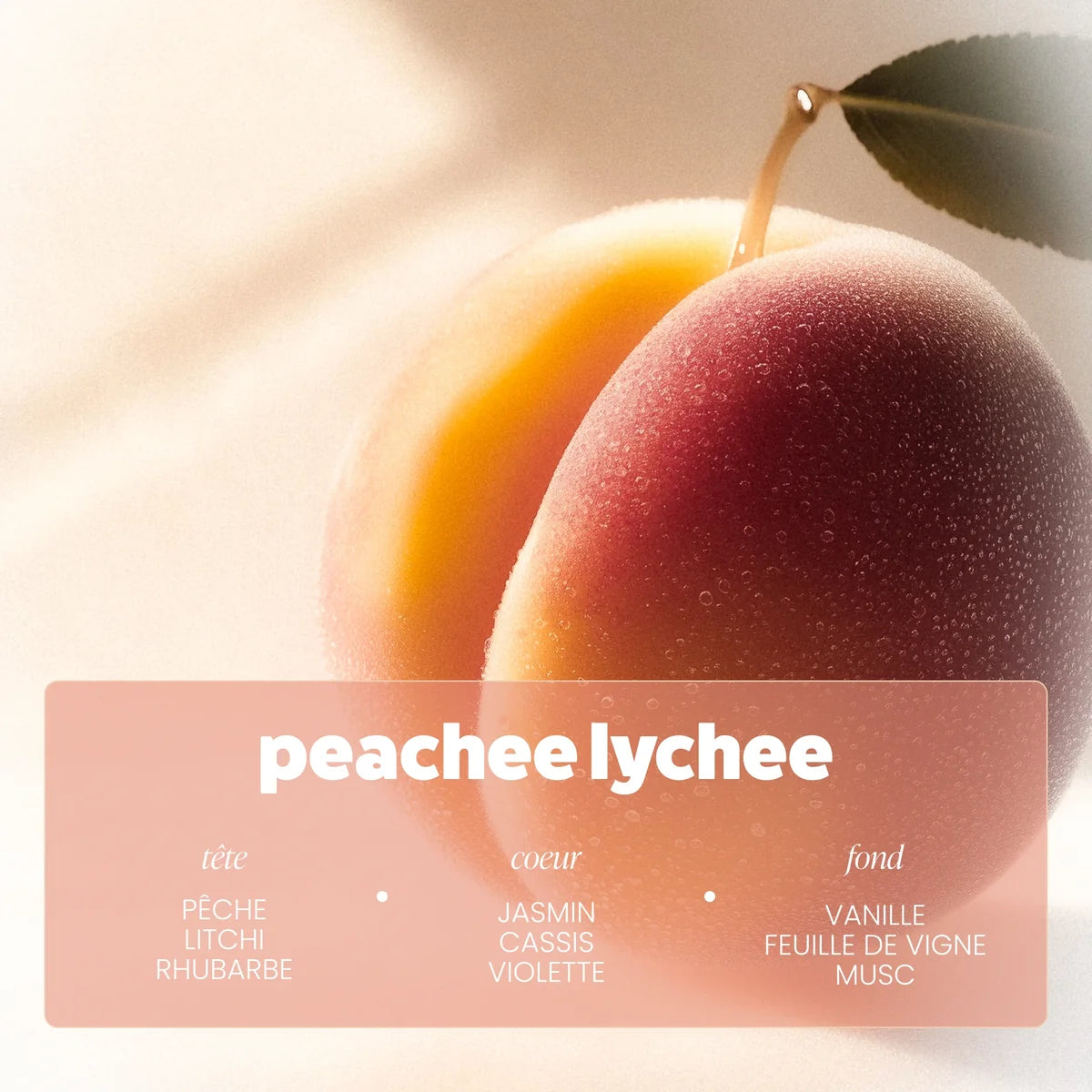 Brume Peachee Lychee – Paalm Cosmetics
