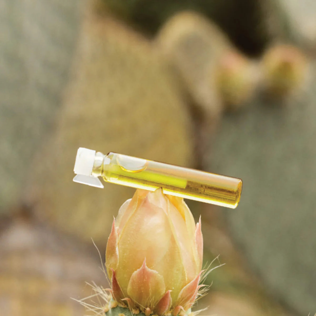 Booster Detox aux huiles essentielles bio - Parfumé à la fleur d'oranger
